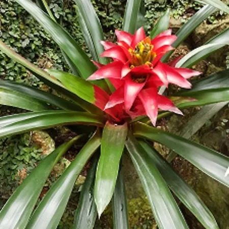 Marina Mercator Ostende