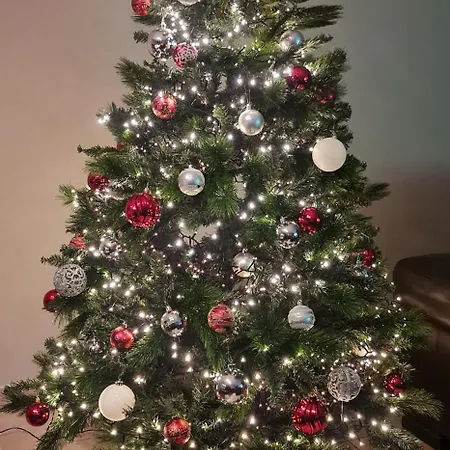 Marina Mercator 奥斯滕德