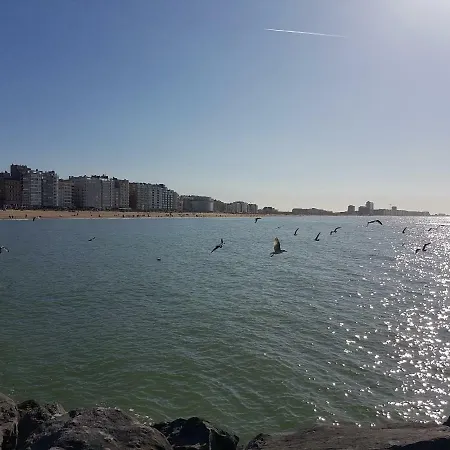 Marina Mercator 公寓 *