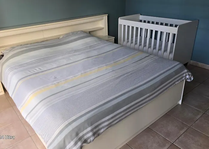 Marina Mercator Apartament *