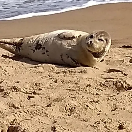 דירה Marina Mercator *